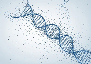 亲子鉴定中基因突变是怎么回事